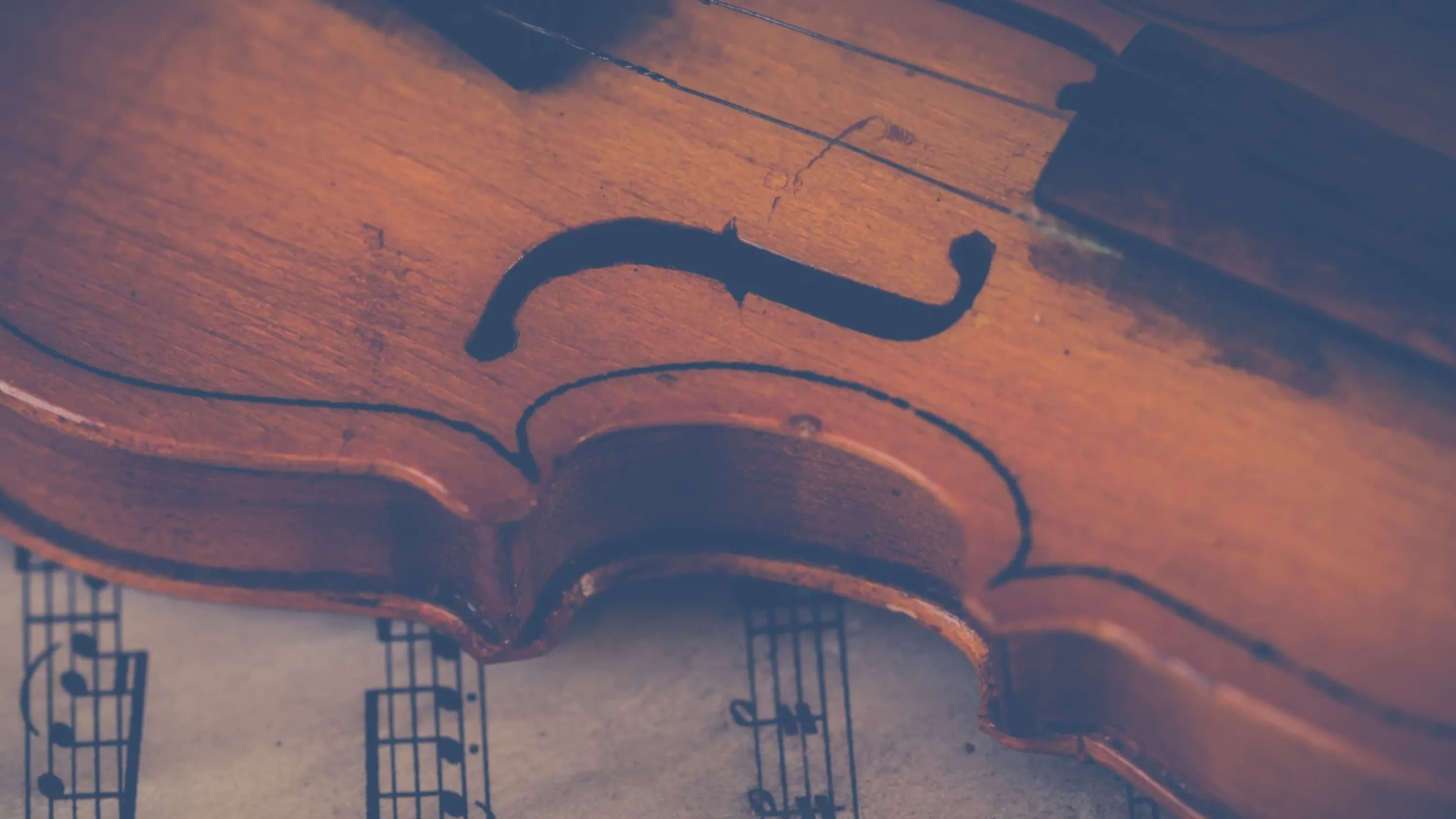 Citation - Spectacles et concerts (WebP)