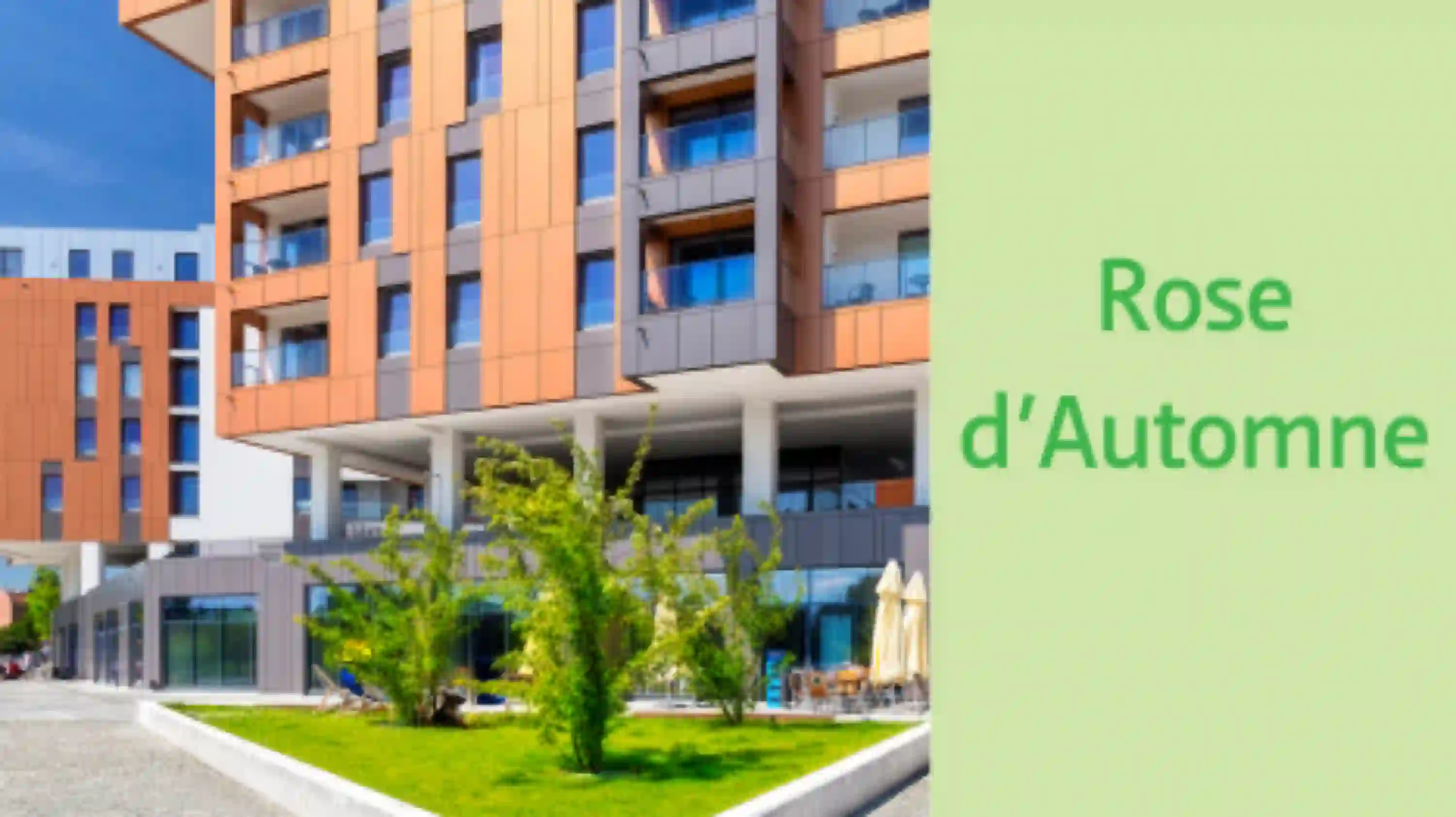 Vignette-RoseAutomne