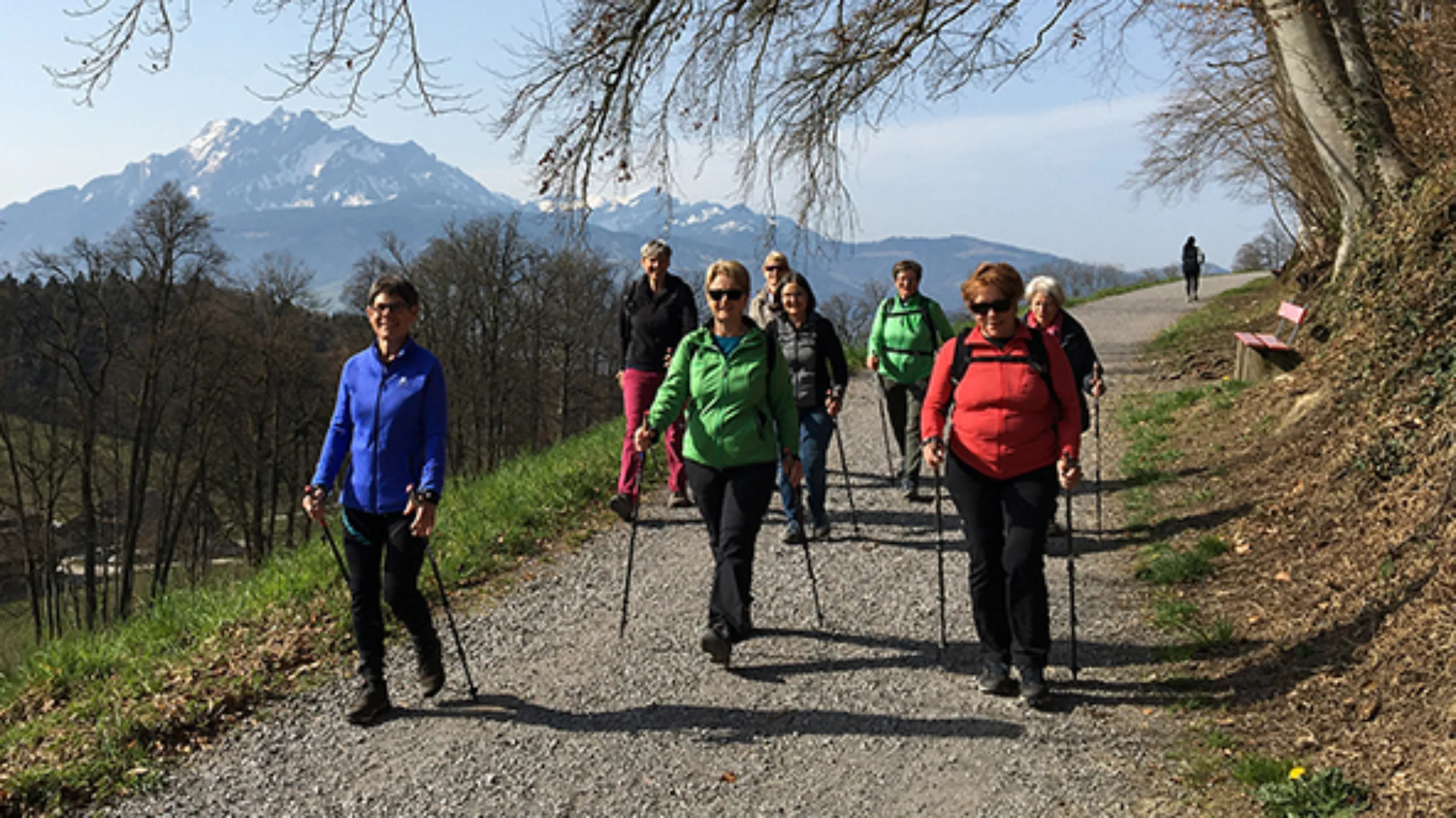 Eine Gruppe Seniorinnen und Senioren beim Nordic Walking, im Hintergrund der Pilatus. 