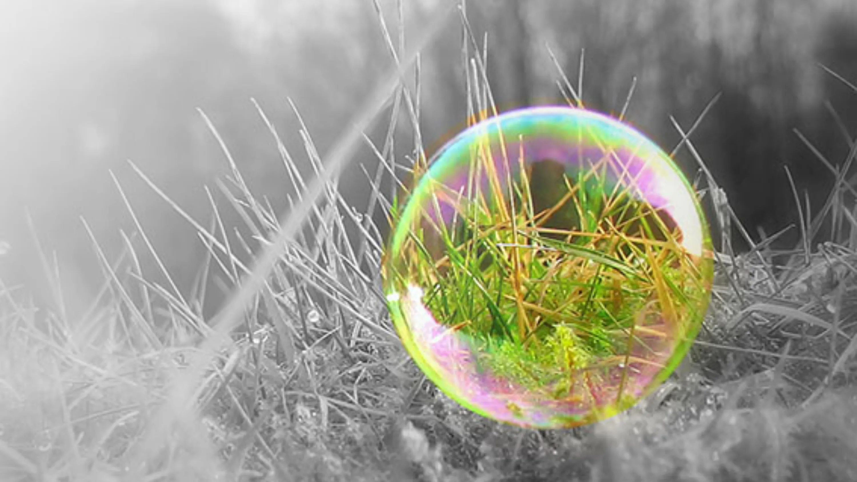 Die farbige Seifenblase auf dem grauen Gras symbolisiert Hoffnung.