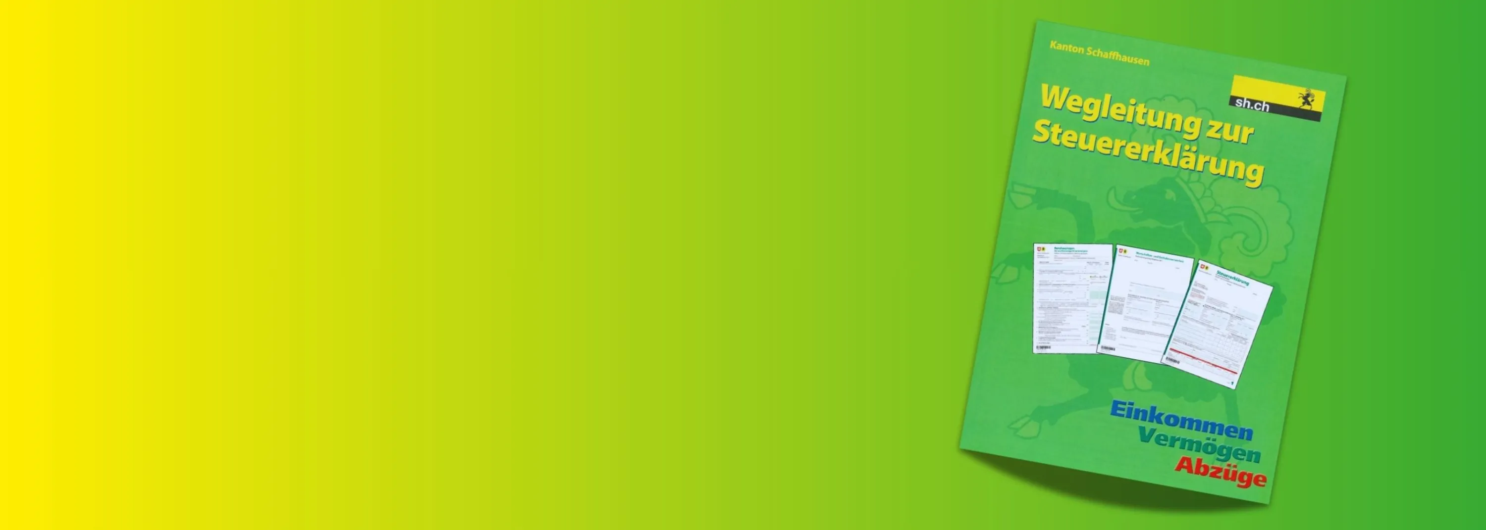 Steuererklärung