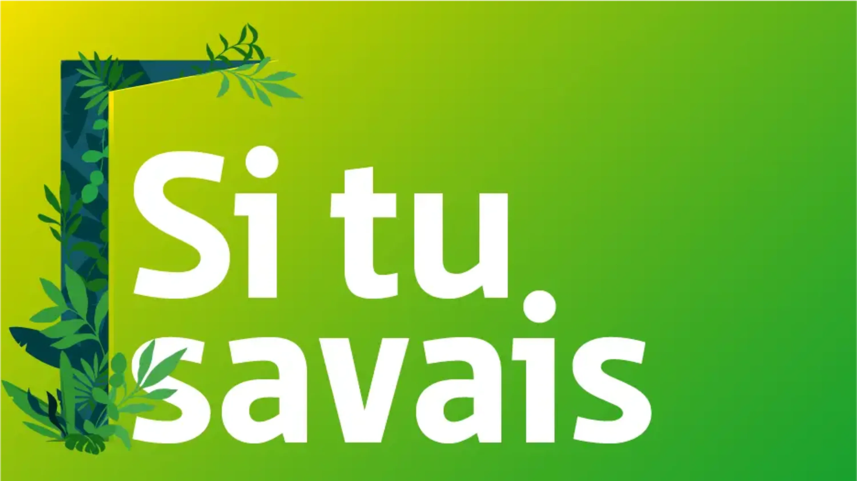 Illustration du podcast Si tu savais