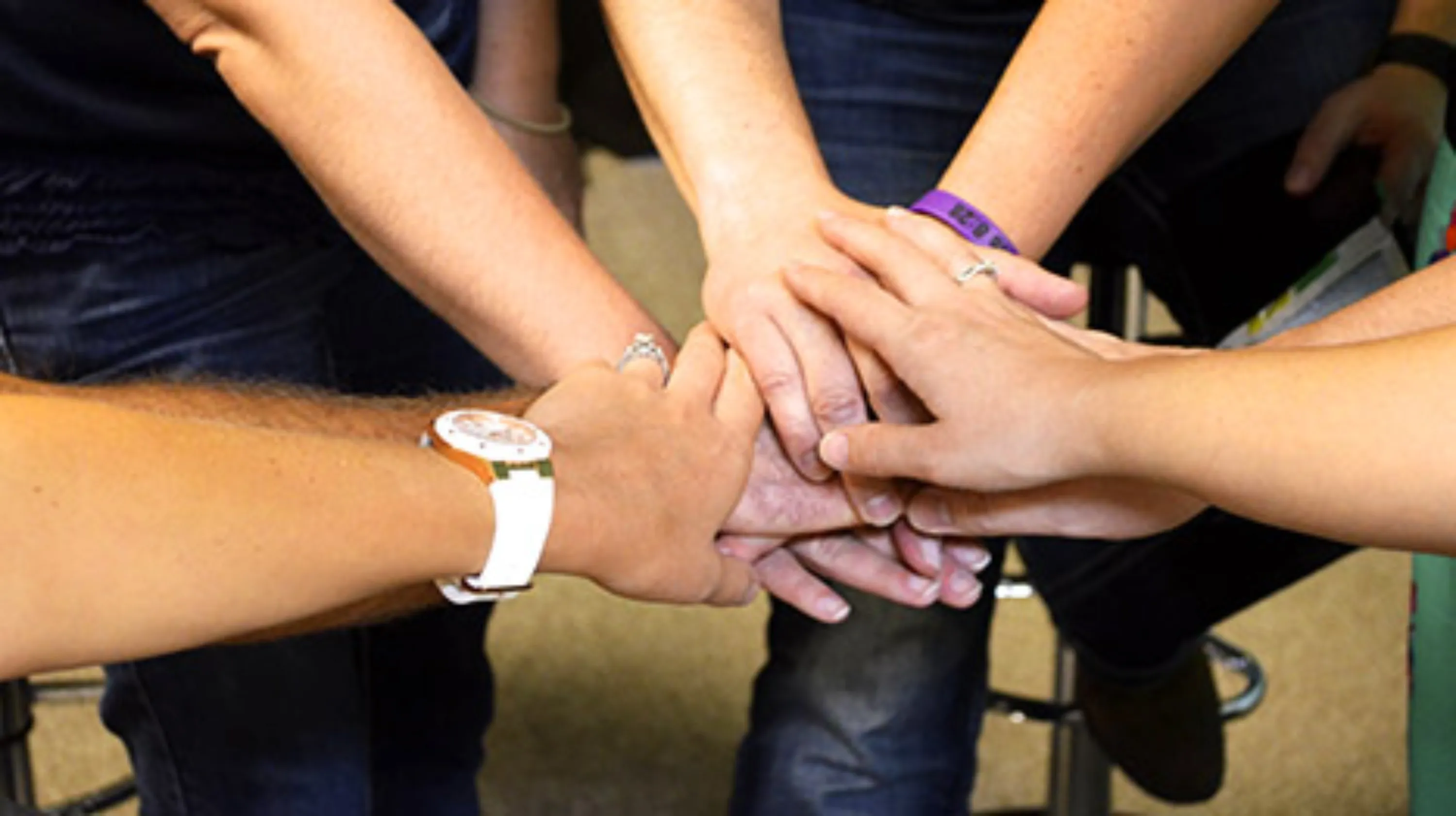 collaborateurs-vignette