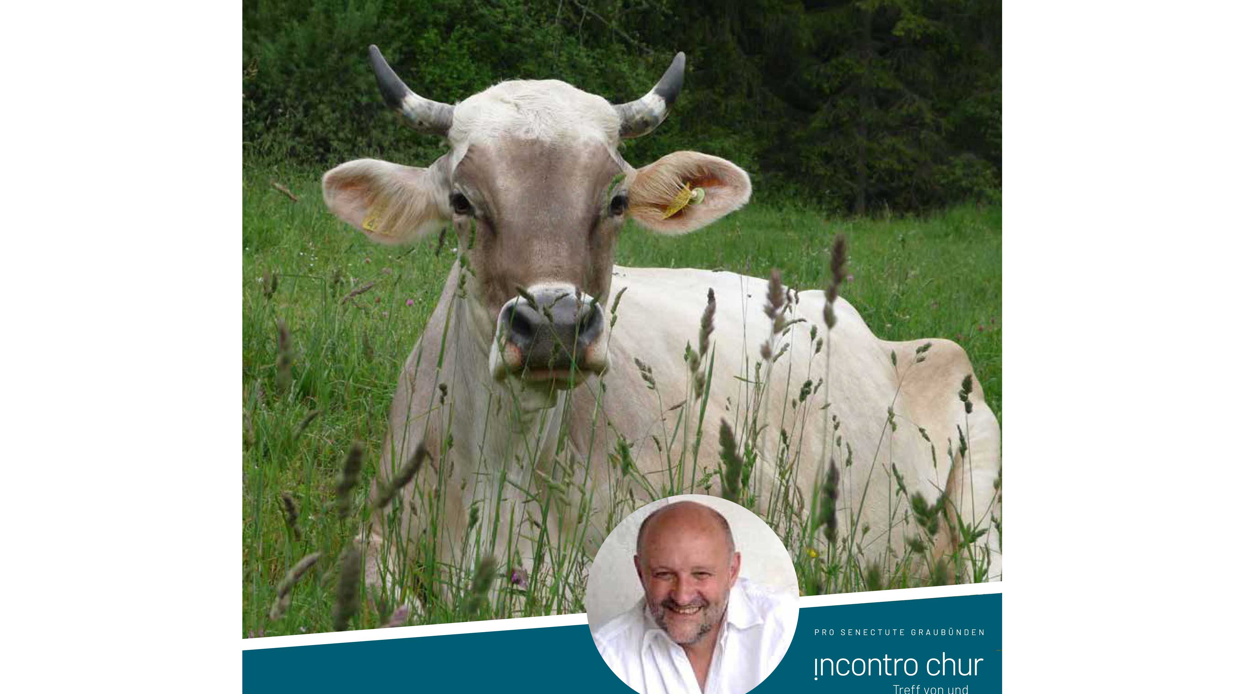 250508 Homöopathie für Tiere klein