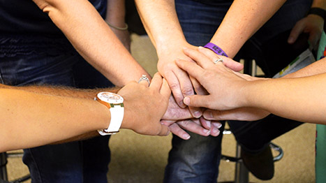 collaborateurs-vignette