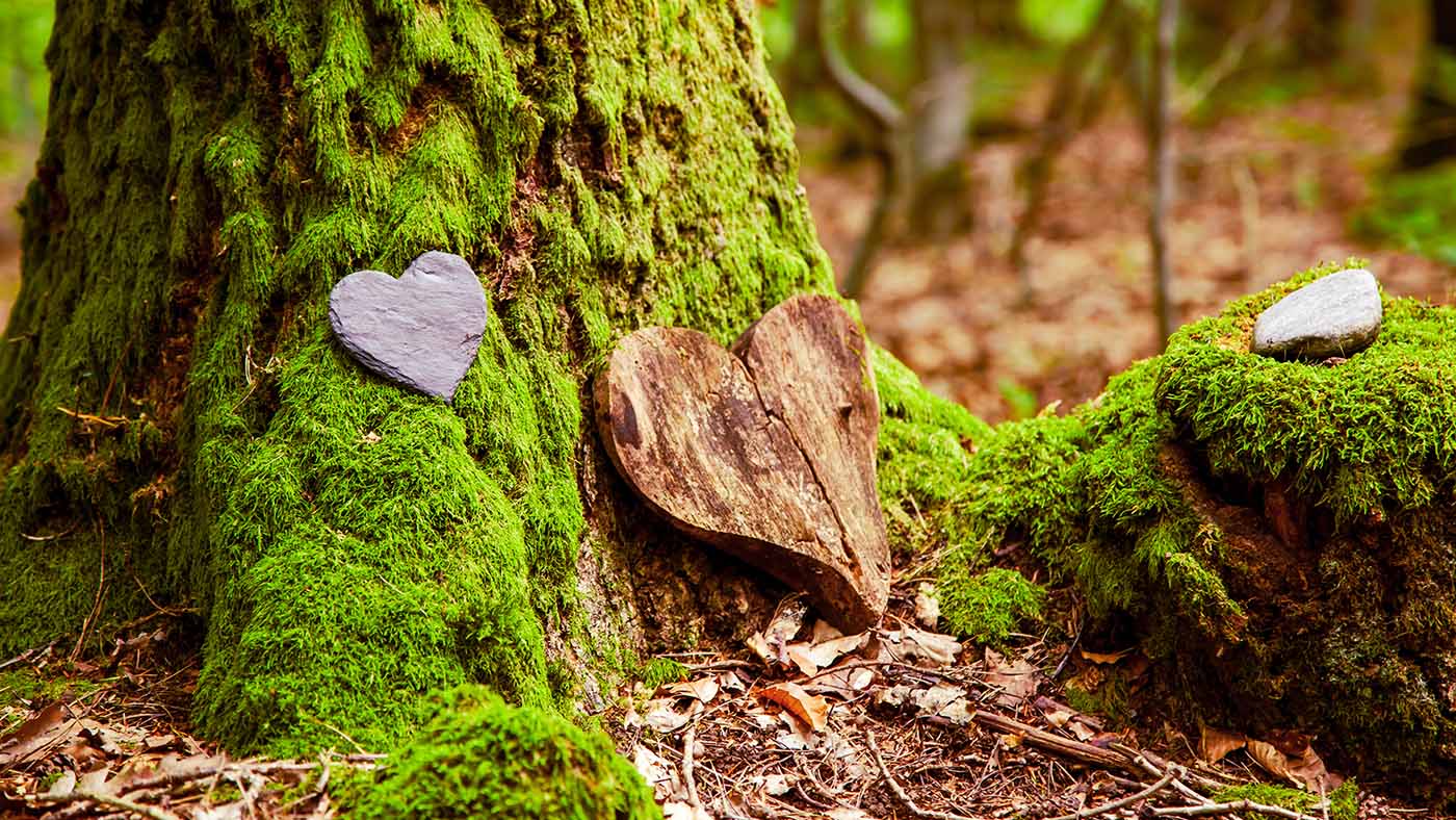 Mit Moos bedeckter Baum an dem ein geschnitztes Herz aus Holz als Gedenken an eine verstorbene Person lehnt.